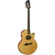  Bán Đàn Guitar Modern, Guitar Đệm Hát.