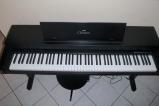 Bán Đàn piano yamaha CLP 350